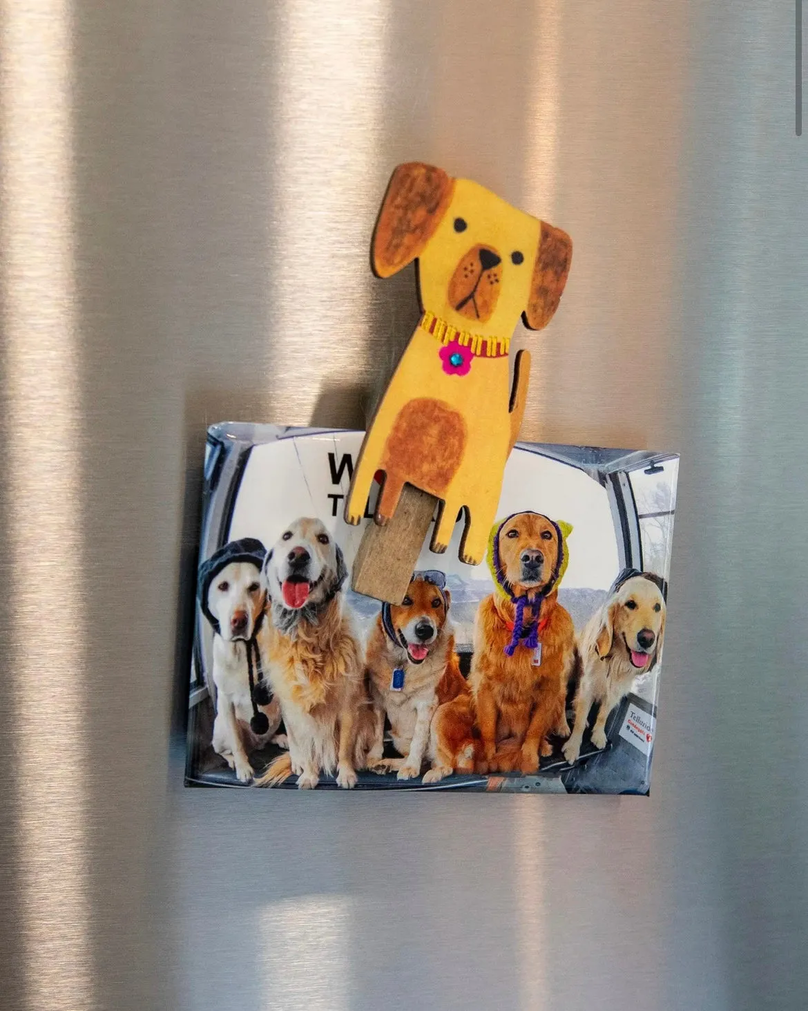 Natural Life | Magnet Bag Clips